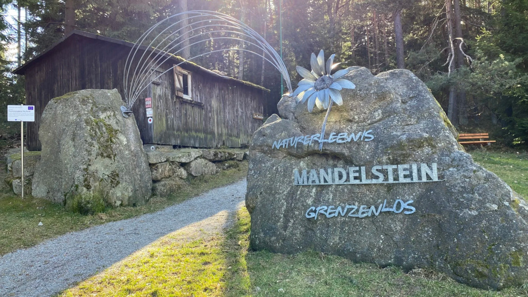 mandel91